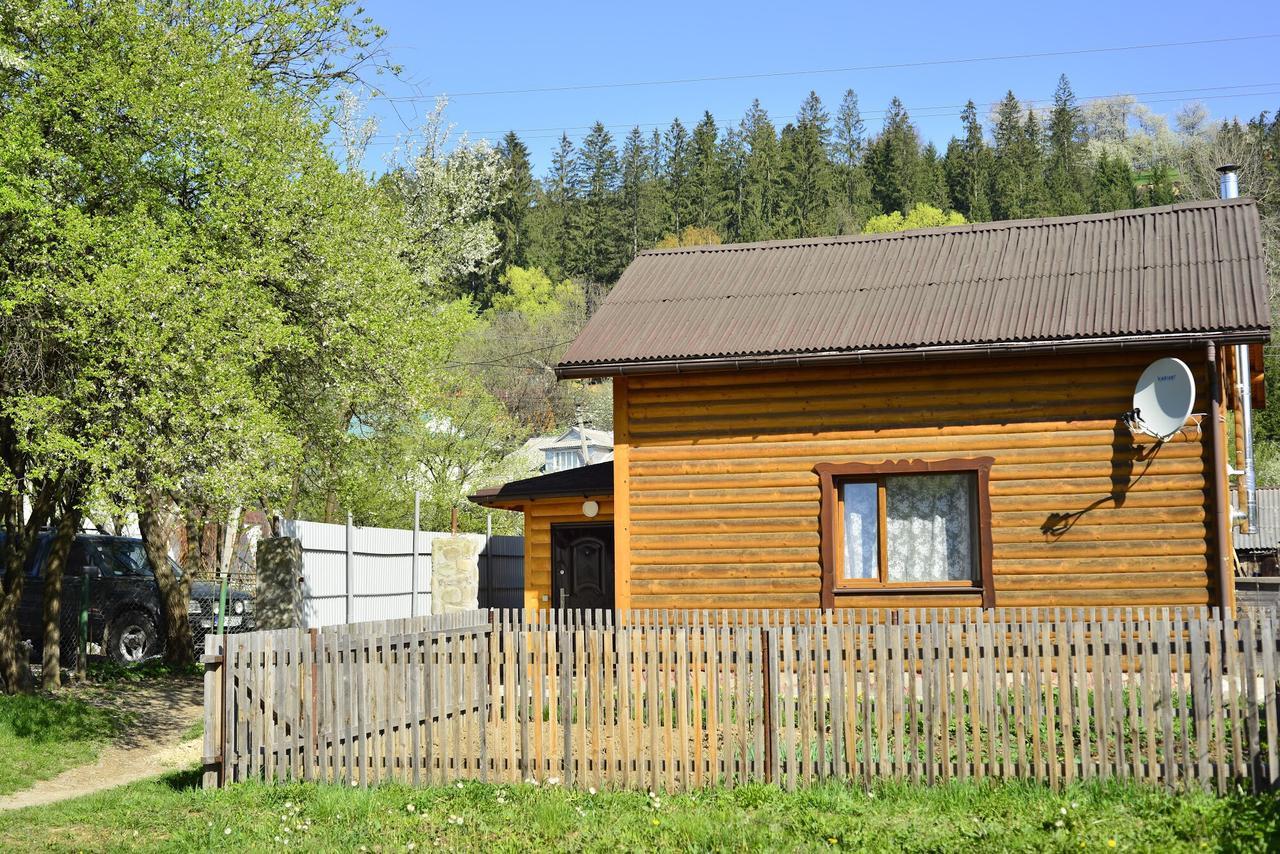 Хатина В Карпатах Villa Verkhovyna Ngoại thất bức ảnh